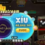 Nguyên tắc đặt cược & trả thưởng Tài Xỉu Livestream Hit Club